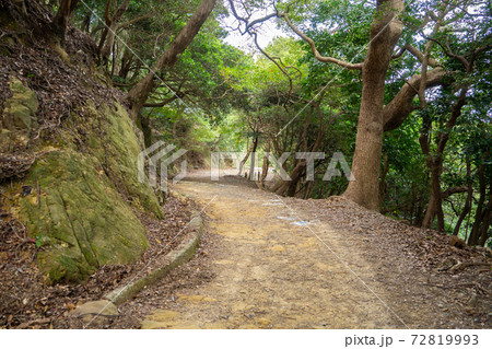 【和歌山県】　友ヶ島 72819993