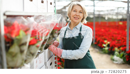 Woman florist checking packed plants in hothouse Woman florist checking packed plants in hothouse 72820275