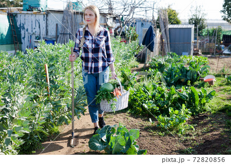 Positive girl with a crop of vegetables on a garden bed 72820856
