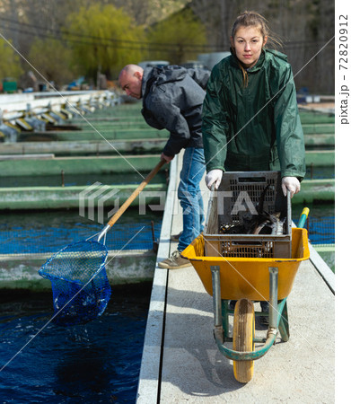 Man and woman working at fish farm Man and woman working at fish farm 72820912