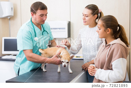 Troubled woman and preteen girl with little dog asking for professional advice from veterinarian 72821893