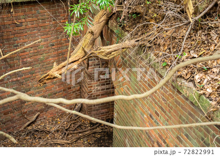 【和歌山県】　友ヶ島 72822991