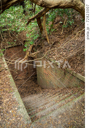 【和歌山県】　友ヶ島 72823007