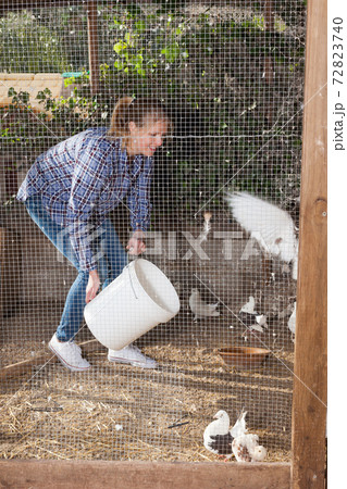 Woman feeding pigeons in aviary Woman feeding pigeons in aviary 72823740