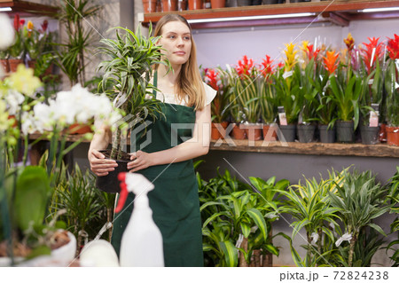 Friendly smiling female florist holding a pot with a home plant in the floral shop Friendly smiling female florist holding a pot with a home plant in the floral shop 72824238