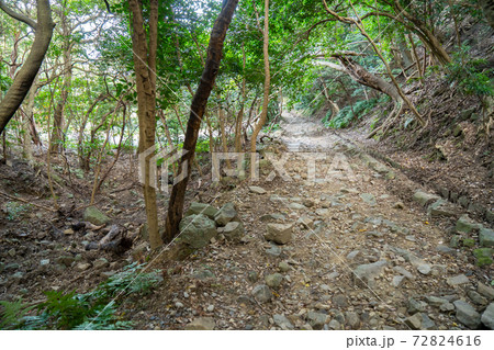【和歌山県】　友ヶ島 72824616