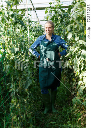 Smiling woman gardener in gloves standing near tomatoes seedlings 72825288