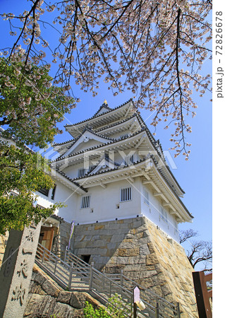 墨俣城 一夜城 満開の桜と墨俣城 満開の桜と一夜城 墨俣城 一夜城 満開の桜と墨俣城 満開の桜と一夜城 72826678