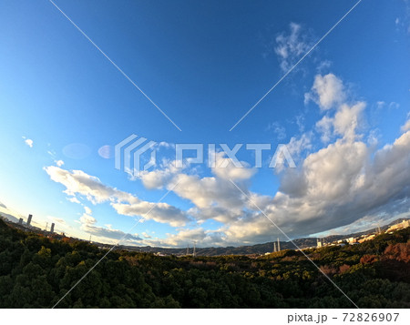 森と空 72826907