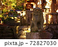 神社の狛犬 72827030