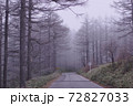 霧がかかる冬の山道 72827033