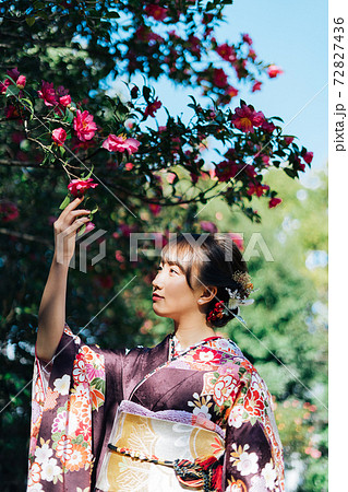 山茶花と着物の女性 山茶花と着物の女性 72827436
