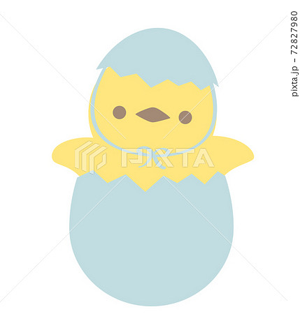 孵化したひよこ 72827980