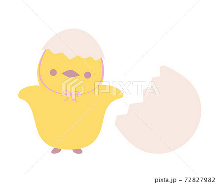 ひよこイラストのイラスト素材 7279