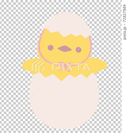 Hatched chick Hatched chick 72827984