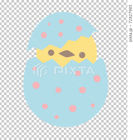 Hatching chick Hatching chick 72827985