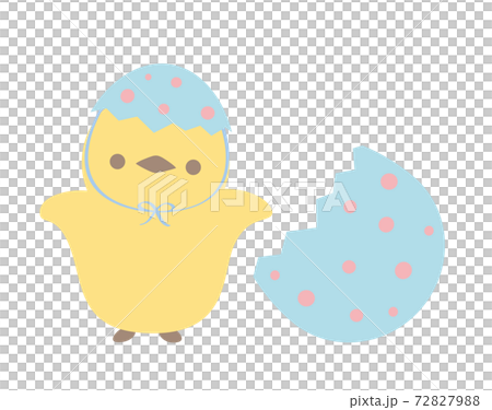 Chick illustration 72827988