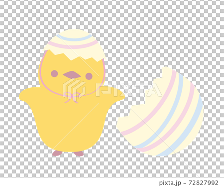 ひよこイラスト 72827992