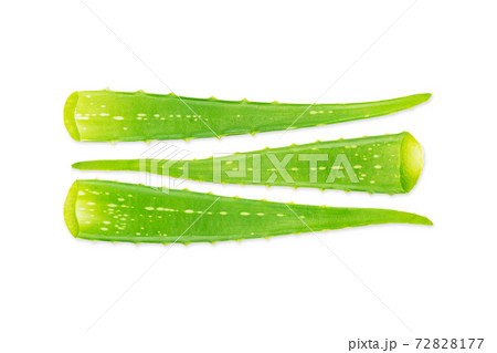 Fresh green aloe vera leaves isolated on white background with clipping path Fresh green aloe vera leaves isolated on white background with clipping path 72828177
