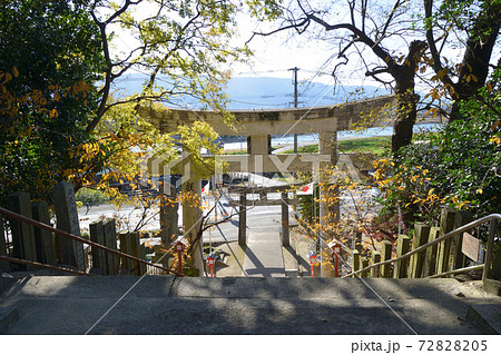 恵蘇八幡宮鳥居 72828205