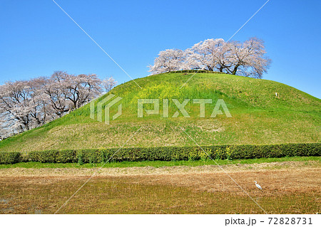 埼玉 さきたま古墳公園 埼玉 さきたま古墳公園 72828731