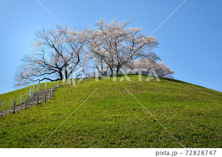 埼玉 さきたま古墳公園 埼玉 さきたま古墳公園 72828747