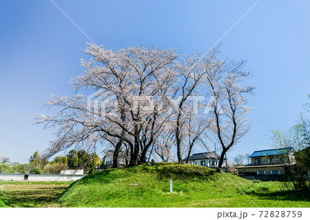 埼玉　さきたま古墳公園 72828759