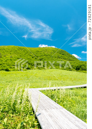 大山鏡ヶ成の初夏 像山のトレッキングイメージ 大山鏡ヶ成の初夏 像山のトレッキングイメージ 72829181