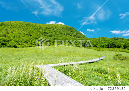 大山鏡ヶ成の初夏　像山のトレッキングイメージ 72829182