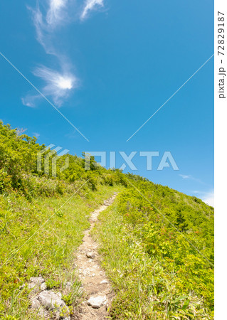 大山鏡ヶ成の初夏 像山のトレッキングイメージ 大山鏡ヶ成の初夏 像山のトレッキングイメージ 72829187