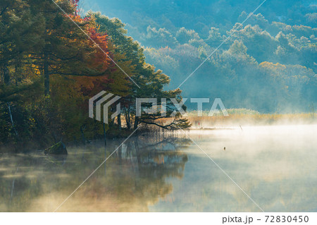 （長野県）蓼科・女神湖　湖畔の紅葉　夜明け 72830450