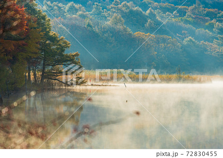 （長野県）蓼科・女神湖　湖畔の紅葉　夜明け 72830455