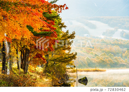 （長野県）蓼科・女神湖　湖畔の紅葉　夜明け 72830462