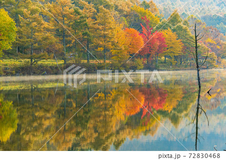 （長野県）蓼科・女神湖　湖畔の紅葉　夜明け 72830468