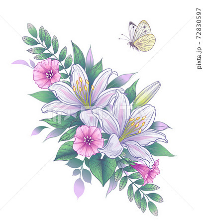 Hand Drawn White Lily Flowers and Butterfly Hand Drawn White Lily Flowers and Butterfly 72830597
