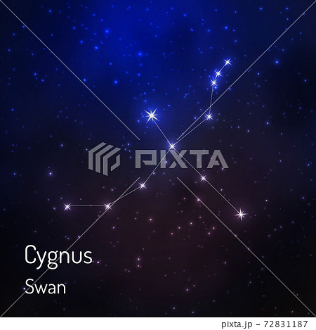 constellation in the night starry sky constellation in the night starry sky 72831187