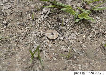 公園に落ちているお金 公園に落ちているお金 72831870