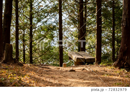 登山道（福岡県・大城山） 72832979
