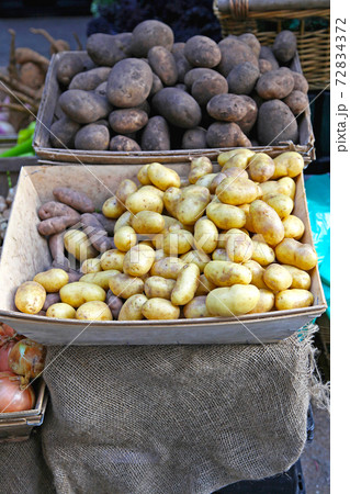 Potato Potato 72834372