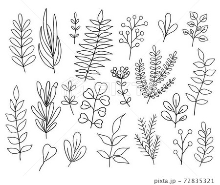Leaves set simple outline vector minimalist concept illustration, line hand drawn floral elements for design Leaves set simple outline vector minimalist concept illustration, line hand drawn floral elements for design 72835321