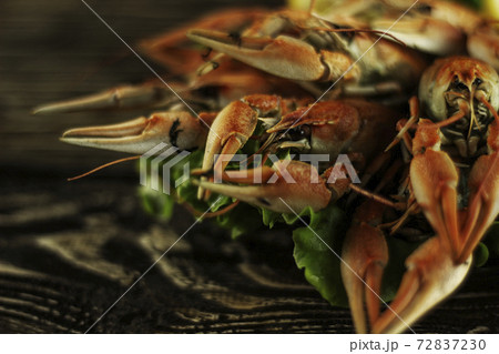Boiled crayfish on a rough wooden background Boiled crayfish on a rough wooden background 72837230