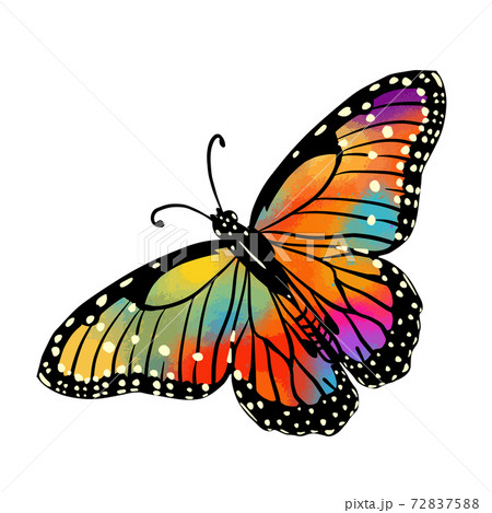 The seamless monochrome background pattern is derorative. Vector illustration The seamless monochrome background pattern is derorative. Vector illustration 72837588