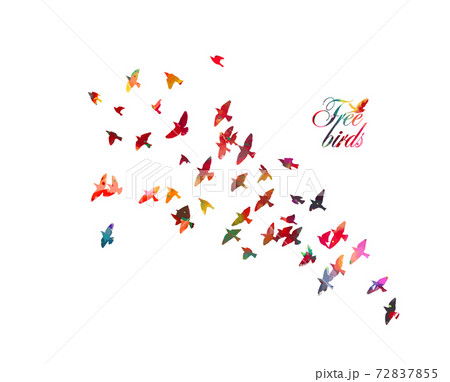 Bird watercolor. A flock of colorful birds. Mixed media. Free birds. Vector illustration Bird watercolor. A flock of colorful birds. Mixed media. Free birds. Vector illustration 72837855