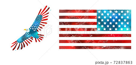 Bald American eagle and USA flag. US Independence Day. Vector illustration 72837863
