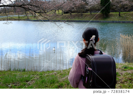 白鳥の見る女の子 白鳥の見る女の子 72838174