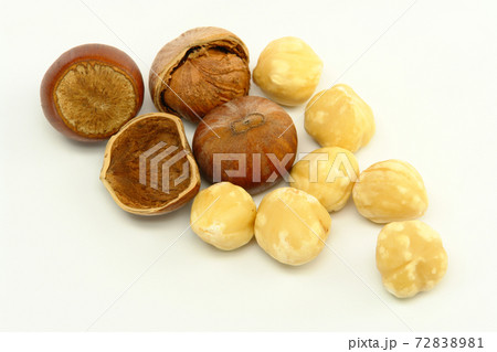 Hazelnuts on White Background Hazelnuts on White Background 72838981
