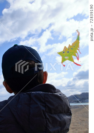 青空にものすごい数の連凧を揚げる幼児 青空にものすごい数の連凧を揚げる幼児 72839190