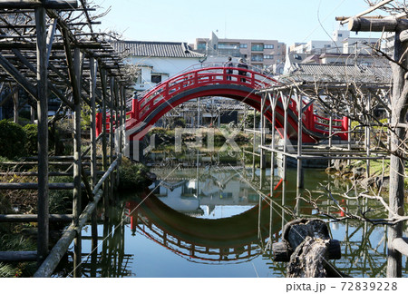 亀戸天神社太鼓橋 亀戸天神社太鼓橋 72839228