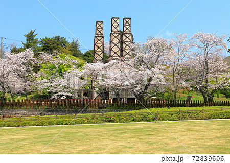 【静岡県】桜が満開の韮山反射炉 【静岡県】桜が満開の韮山反射炉 72839606