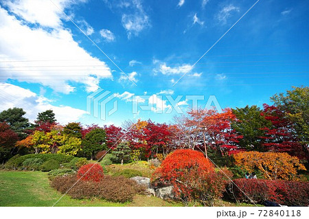 令和2年平岡樹芸センターの晩秋 72840118